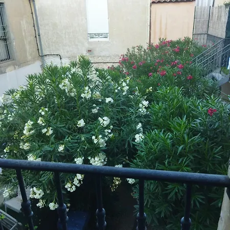 Lacour Nîmes